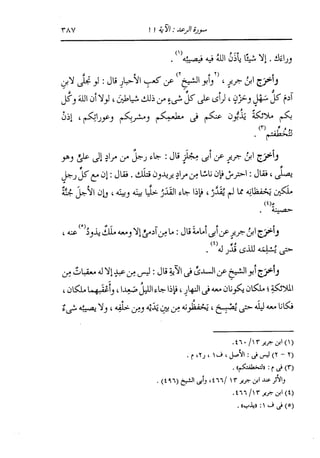الدر المنثور في التفسير بالمأثور للإمام السيوطي 8