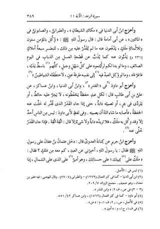 الدر المنثور في التفسير بالمأثور للإمام السيوطي 8