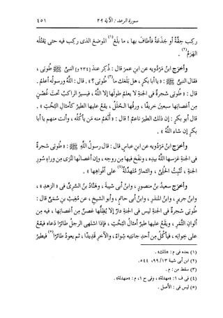 الدر المنثور في التفسير بالمأثور للإمام السيوطي 8