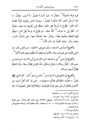 الدر المنثور في التفسير بالمأثور للإمام السيوطي 8
