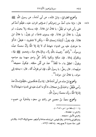 الدر المنثور في التفسير بالمأثور للإمام السيوطي 8