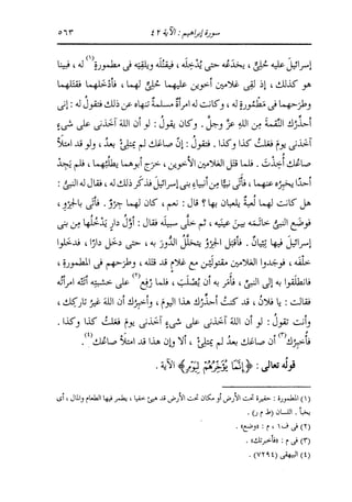 الدر المنثور في التفسير بالمأثور للإمام السيوطي 8