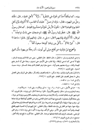 الدر المنثور في التفسير بالمأثور للإمام السيوطي 8