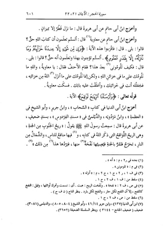 الدر المنثور في التفسير بالمأثور للإمام السيوطي 8