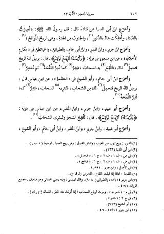 الدر المنثور في التفسير بالمأثور للإمام السيوطي 8