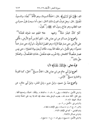 الدر المنثور في التفسير بالمأثور للإمام السيوطي 8