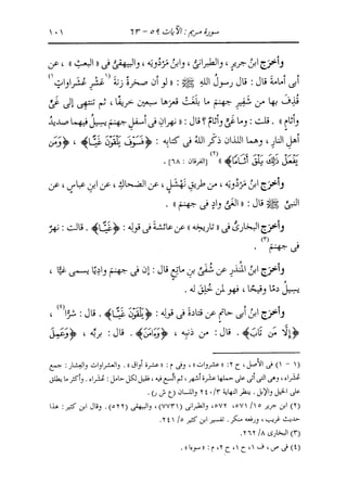 الدر المنثور في التفسير بالمأثور للإمام السيوطي 10