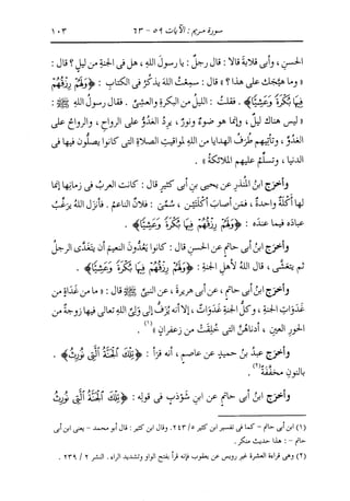 الدر المنثور في التفسير بالمأثور للإمام السيوطي 10