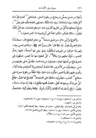 الدر المنثور في التفسير بالمأثور للإمام السيوطي 10