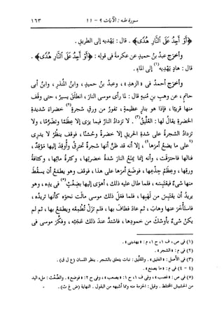 الدر المنثور في التفسير بالمأثور للإمام السيوطي 10