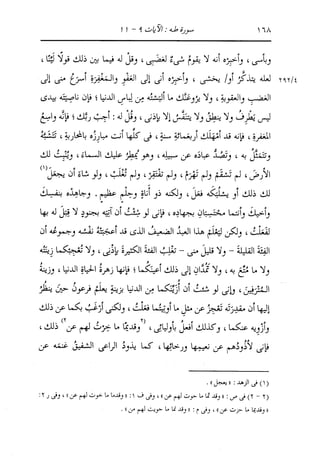 الدر المنثور في التفسير بالمأثور للإمام السيوطي 10