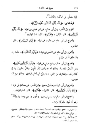 الدر المنثور في التفسير بالمأثور للإمام السيوطي 10