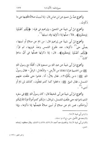 الدر المنثور في التفسير بالمأثور للإمام السيوطي 10