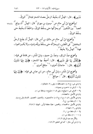 الدر المنثور في التفسير بالمأثور للإمام السيوطي 10
