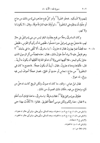 الدر المنثور في التفسير بالمأثور للإمام السيوطي 10