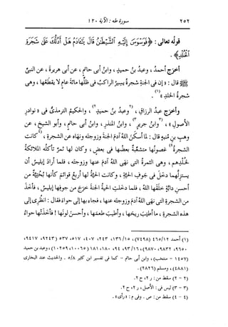 الدر المنثور في التفسير بالمأثور للإمام السيوطي 10