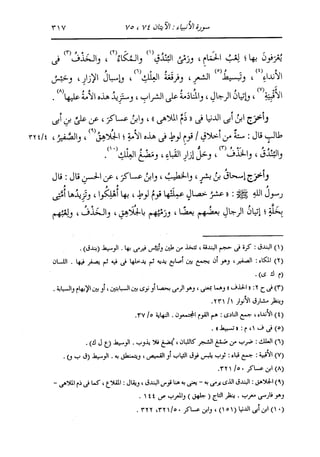 الدر المنثور في التفسير بالمأثور للإمام السيوطي 10