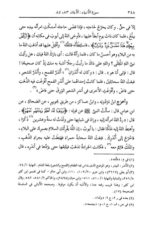 الدر المنثور في التفسير بالمأثور للإمام السيوطي 10