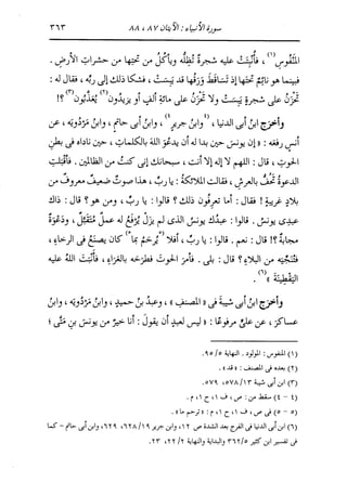 الدر المنثور في التفسير بالمأثور للإمام السيوطي 10