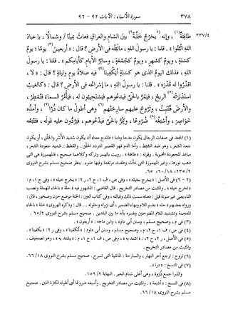 الدر المنثور في التفسير بالمأثور للإمام السيوطي 10