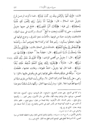 الدر المنثور في التفسير بالمأثور للإمام السيوطي 10