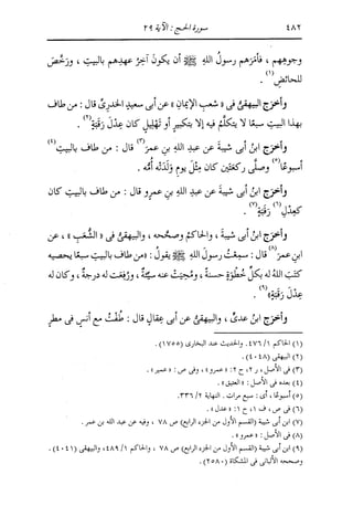 الدر المنثور في التفسير بالمأثور للإمام السيوطي 10