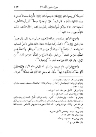 الدر المنثور في التفسير بالمأثور للإمام السيوطي 10