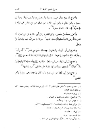 الدر المنثور في التفسير بالمأثور للإمام السيوطي 10