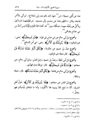 الدر المنثور في التفسير بالمأثور للإمام السيوطي 10