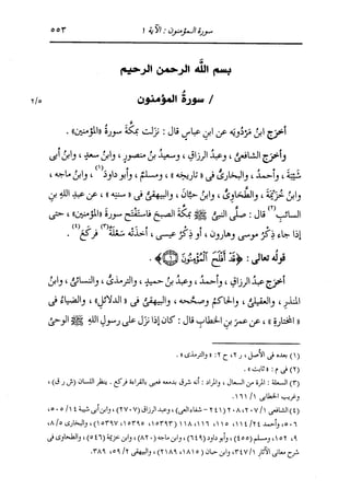 الدر المنثور في التفسير بالمأثور للإمام السيوطي 10
