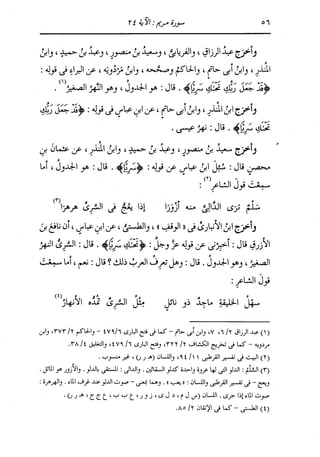 الدر المنثور في التفسير بالمأثور للإمام السيوطي 10
