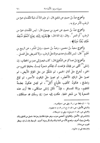 الدر المنثور في التفسير بالمأثور للإمام السيوطي 10
