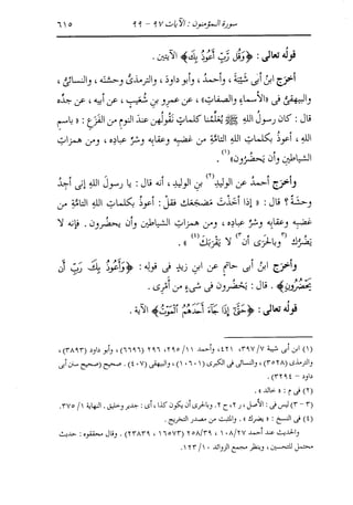 الدر المنثور في التفسير بالمأثور للإمام السيوطي 10