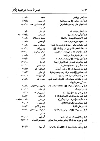 الدر المنثور في التفسير بالمأثور للإمام السيوطي 16،17