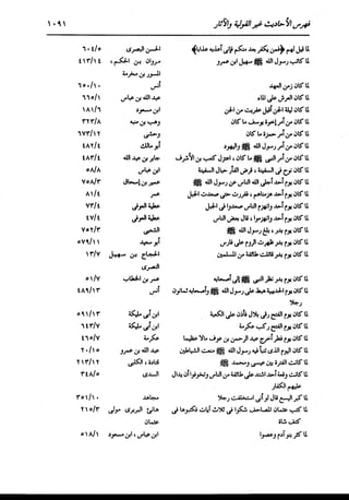 الدر المنثور في التفسير بالمأثور للإمام السيوطي 16،17