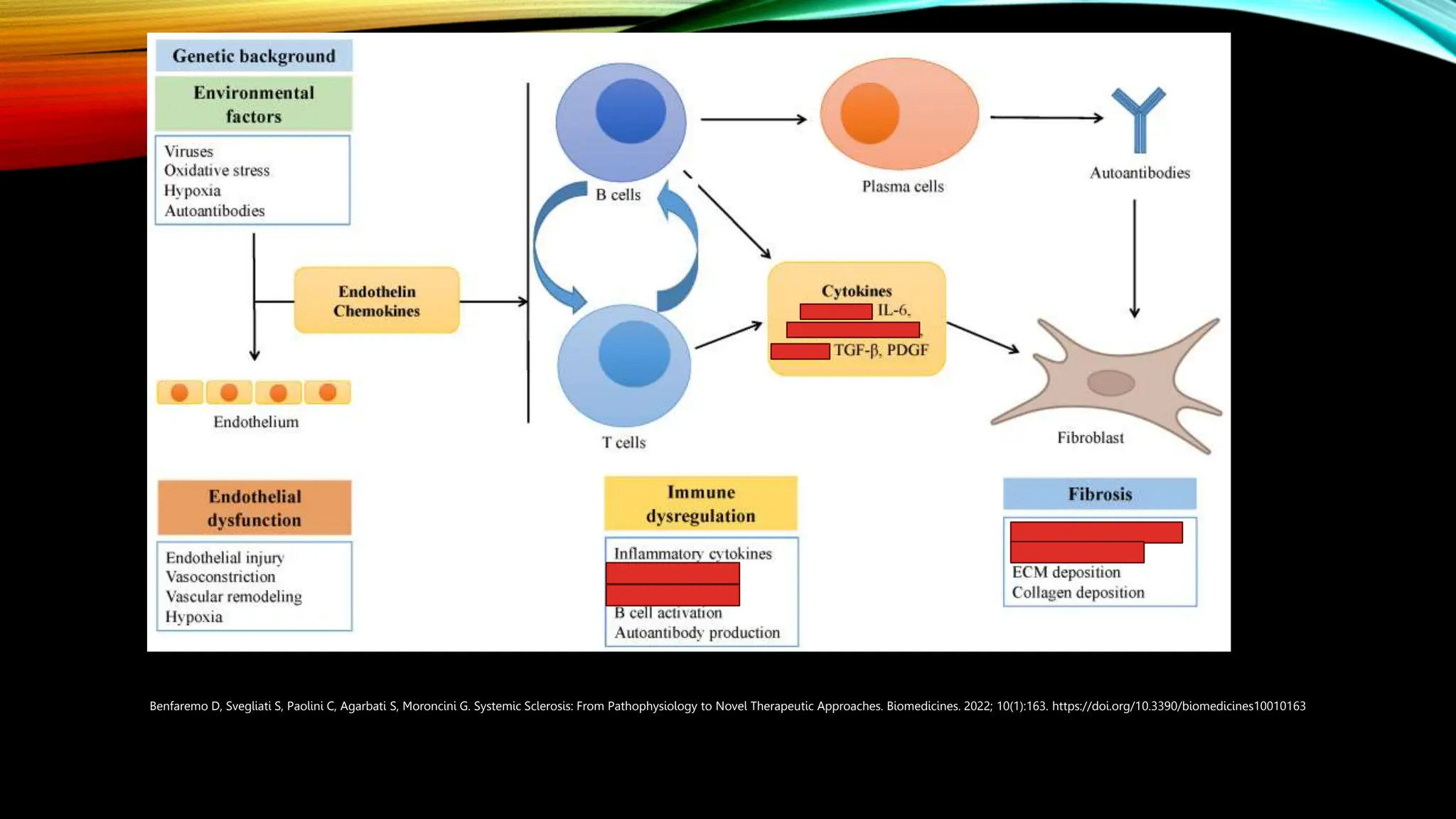 Scleroderma: Treatment Options and a Look to the Future - Dr. Macklin | PPT