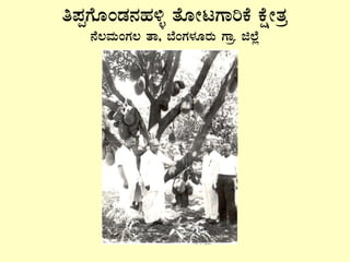 w¥ÀàUÉÆAqÀ£ÀºÀ½î vÉÆÃlUÁjPÉ PÉëÃvÀæ
£É®ªÀÄAUÀ® vÁ, ¨ÉAUÀ¼ÀÆgÀÄ UÁæ. f¯Éè
 