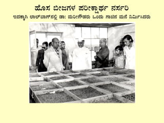 ºÉÆ¸À ©ÃdUÀ¼À ¥ÀjÃPÁëxÀð £À¸Àðj
EzÀPÁÌV ¯Á¯ï¨ÁUï£À°è qÁ: ªÀÄjÃUËqÀgÀÄ MAzÀÄ UÁf£À ªÀÄ£É ¤«Äð¹zÀgÀÄ
 