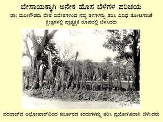 ¨ÉÃ¸ÁAiÀÄPÁÌV C£ÉÃPÀ ºÉÆ¸À ¨É¼ÉUÀ¼À ¥ÀjZÀAiÀÄ
qÁ: ªÀÄjÃUËqÀgÀÄ zÉÃ±À «zÉÃ±ÀUÀ½AzÀ £ÀªÀå vÀ½UÀ¼À£ÀÄß vÀj¹ ««zsÀ vÉÆÃlUÁjPÉ
PÉëÃvÀæUÀ¼À°è ¥ÁævÀåPÀëPÉÀ gÀÆ¥ÀzÀ°è ¨É¼À¹zÀgÀÄ
¥ÀAeÁ¨ïzÀ C¨sÉÆÃºÁgï¢AzÀ PÀdÆðgÀzÀ PÀAzÀÄUÀ¼À£ÀÄß vÀj¹ ¥ÀæAiÉÆÃVPÀªÁV ¨É¼É¹zÀgÀÄ
 