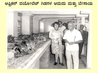 D¦üæPÀ£ï ªÀAiÉÆÃ¯Émï VqÀUÀ¼À DªÀÄzÀÄ ªÀÄvÀÄÛ ¨ÉÃ¸ÁAiÀÄ
 