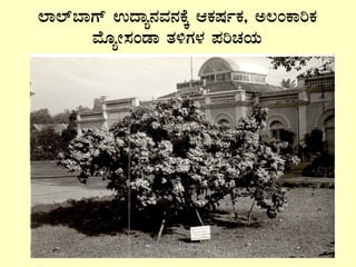 ¯Á¯ï¨ÁUï GzÁå£ÀªÀ£ÀPÉÌ DPÀµÀðPÀ, C®APÁjPÀ
ªÉÆåÃ¸ÀAqÁ vÀ½UÀ¼À ¥ÀjZÀAiÀÄ
 