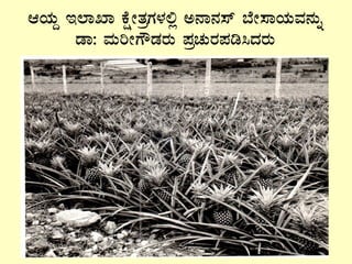 DAiÀÄÝ E¯ÁSÁ PÉëÃvÀæUÀ¼À°è C£Á£À¸ï ¨ÉÃ¸ÁAiÀÄªÀ£ÀÄß
qÁ: ªÀÄjÃUËqÀgÀÄ ¥ÀæZÀÄgÀ¥Àr¹zÀgÀÄ
 