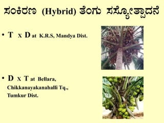 ¸ÀAQgÀt (Hybrid) vÉAUÀÄ ¸À¸ÉÆåÃvÁàzÀ£É
• T X D at K.R.S, Mandya Dist.
• D X T at Bellara,
Chikkanayakanahalli Tq.,
Tumkur Dist.
 