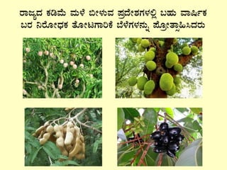 gÁdåzÀ PÀrªÉÄ ªÀÄ¼É ©Ã¼ÀÄªÀ ¥ÀæzÉÃ±ÀUÀ¼À°è §ºÀÄ ªÁ¶ðPÀ
§gÀ ¤gÉÆÃzsÀPÀ vÉÆÃlUÁjPÉ ¨É¼ÉUÀ¼À£ÀÄß ¥ÉÆæÃvÁì»¹zÀgÀÄ
 