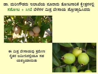 qÁ. ªÀÄjÃUËqÀgÀÄ E¯ÁSÉAiÀÄ £ÀÆgÁgÀÄ vÉÆÃlUÁjPÉ PÉëÃvÀæUÀ¼À°è
¸À¥ÉÆÃl + ¹Ã¨É ¨É¼ÉUÀ¼À «Ä±Àæ ¨ÉÃ¸ÁAiÀÄ ¥ÉÆæÃvÁì»¹zÀgÀÄ
F «Ä±Àæ ¨ÉÃ¸ÁAiÀÄªÀÅ PÀæªÉÄÃt
gÉÊvÀgÀ d«ÄÃ¤£À°èAiÀÄÆ ¸ÀºÀ
AiÀÄ±À¹éAiÀiÁ¬ÄvÀÄ
 