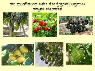 qÁ: ªÀÄjÃUËqÀjAzÀ C£ÉÃPÀ vÉÆÃ.PÉëÃvÀæUÀ¼À°è C¥ÀæªÀÄÄR
ºÀtÄÚUÀ¼À eÉÆÃ¥Á¸À£É
 