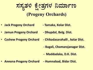 • Jack Progeny Orchard - Tamaka, Kolar Dist.
• Jamun Progeny Orchard - Dhupdal, Belg. Dist.
• Cashew Progeny Orchard - Chikadasarahalli , kolar Dist.
- Bagali, Chamarajanagar Dist.
- Maddadaka, D.K. Dist.
• Annona Progeny Orchard - Humnabad, Bidar Dist.
¸À¸ÀåvÀ½ PÉëÃvÀæUÀ¼À ¤ªÀiÁðt
(Progeny Orchards)
 