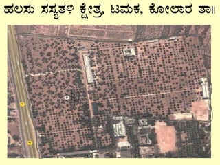 ºÀ®¸ÀÄ ¸À¸ÀåvÀ½ PÉëÃvÀæ, lªÀÄPÀ, PÉÆÃ¯ÁgÀ vÁ||
 