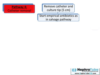 Pathway 4:
Catheter removal
Remove catheter and
culture tip (5 cm)
Start empirical antibiotics as
in salvage pathway
Is access is needed urgently for dialysis?
Yes
Insert
temporary
catheter in
another site
for short
period of time
No
Continue antibiotics
Insert long term catheter
ONLY if:
1- afebrile for 48-72 hours
2- CRP is normal
3- Blood cultures are -ve
Duration?
 