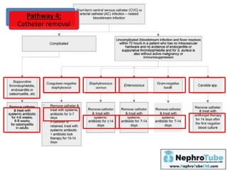 Pathway 4:
Catheter removal
 